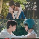 세명체육관 | 다공일수 한국BL 드라마 추천 <복숭아 꽃이 피었습니다> 리뷰 후기 등장인물 줄거리 결말