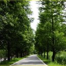 물향기공원 이미지