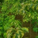 다목농장 이미지