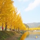 오십년할머니집 이미지