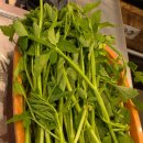 목구멍 | 정왕동 맛집ㅣ목구멍 시흥점 후기🥓