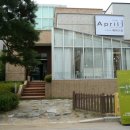 살구스튜디오 Daum카페
