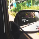 죠탕죠탕 이미지