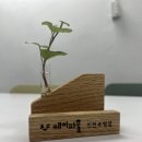 케이파출 이미지