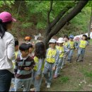 금잔디유치원 이미지