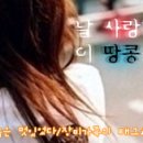 손길만스쳐도