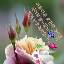 주거니받거니 Daum카페