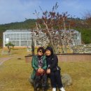 엘도라도 이미지