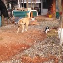 우산농장 이미지