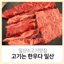일신정육식당 | 일산 소고기 맛집 고기는 한우다 아기랑 애니골가족외식 만족하고 왔어요