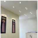 퍼피애견샵 이미지