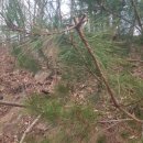 노달래농장 이미지