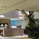 씨클리프호텔제주 | [제주 서귀포 숙소] 히든클리프 호텔&amp;네이처 6022호 숙박 후기, 제주 중문/서귀포 가성비 호캉스 숙소 추천