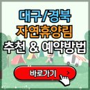 국립운문산자연휴양림야영장 | 대구 경북 자연휴양림 추천, 예약 방법, 주변 여행지 정보 총정리