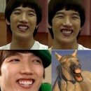 뽀루뚜나 이미지