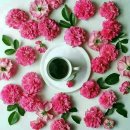 하얀집세탁소 이미지