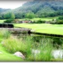 파인크리크C.C 이미지