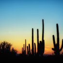 영어와 Craft 이미지