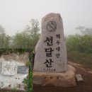 솔벗 이미지