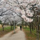 운서역 옆 이미지