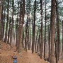 큰골경로당 이미지