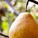 거창-고제-5 이미지