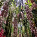 본P.C | 쿠팡이츠 배달파트너 추천인 부업 추천 [ 84C1BZ6P ] 첫 배달 3만원 겟한 후기