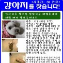 마르티스 이미지