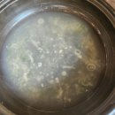 미스터보쌈 부산수영점 | [부산 수영 맛집]'조개옥칼국수' 보쌈에 물총칼국수까지 완벽했던 3인 가족 외식 후기