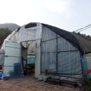 풀잎사랑 펜션 이미지