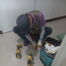 로제리움2차 이미지