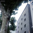 신림호텔: 도미니크