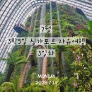 태양슈퍼 | 싱가포르 가든스바이더베이 플로럴판타지 디즈니 / 클라우드포레스트 쥬라기월드 / 슈퍼트리쇼 후기