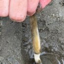 (주)가온리조트 이미지