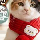 푸르댕댕 이미지