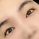 래쉬룸(LASH ROOM) | 동탄속눈썹펌 라보떼래쉬 마스카라처럼 또렷한 블랙틴팅펌후기