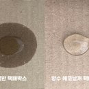 칼렛바이오