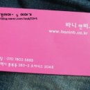 바니앤비 네이버블로그