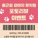 출근길 강아지 유치원 이미지