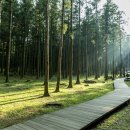 조앤조숲요양병원 이미지