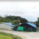 논산목장 Daum카페