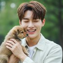 하이펫동물병원 | 강아지보험 비교 2025 🐾 보장범위, 보험료, 후기까지 총정리📌