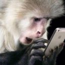 분당-200 이미지