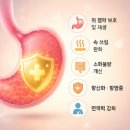 양베진 효능 내돈내산 후기 성분 가격 섭취방법