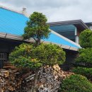 청춘-숲속의 섬,  이미지