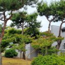 학송보건진료소 이미지