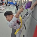 용인대마루한태권도장 이미지