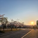 혜화여자중학교 이미지
