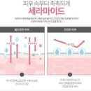 kbs아트비전뷰티미용학원 네이버블로그