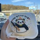 [용인/데이트] 에버랜드 푸바오 러바오 판다월드 위주 후기 (대나무 먹방 눕방 후기 및 꿀팁 🐼❤️)